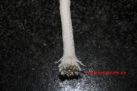 12mm Lampendocht aus 100% Baumwolle