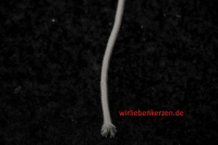 4mm Lampendocht aus 100% Baumwolle