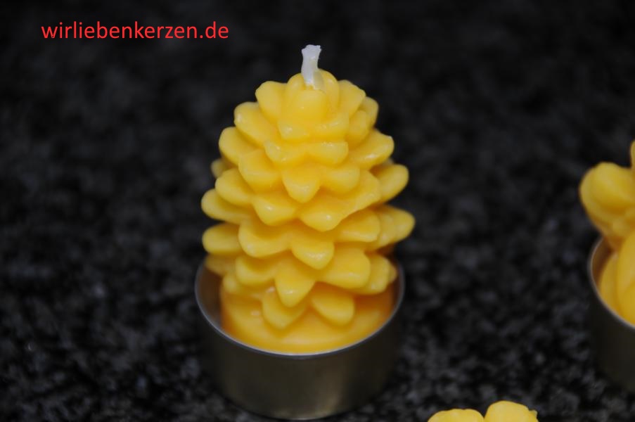 5 Teelichte Bumchen 100% Bienenwachs handgegossen